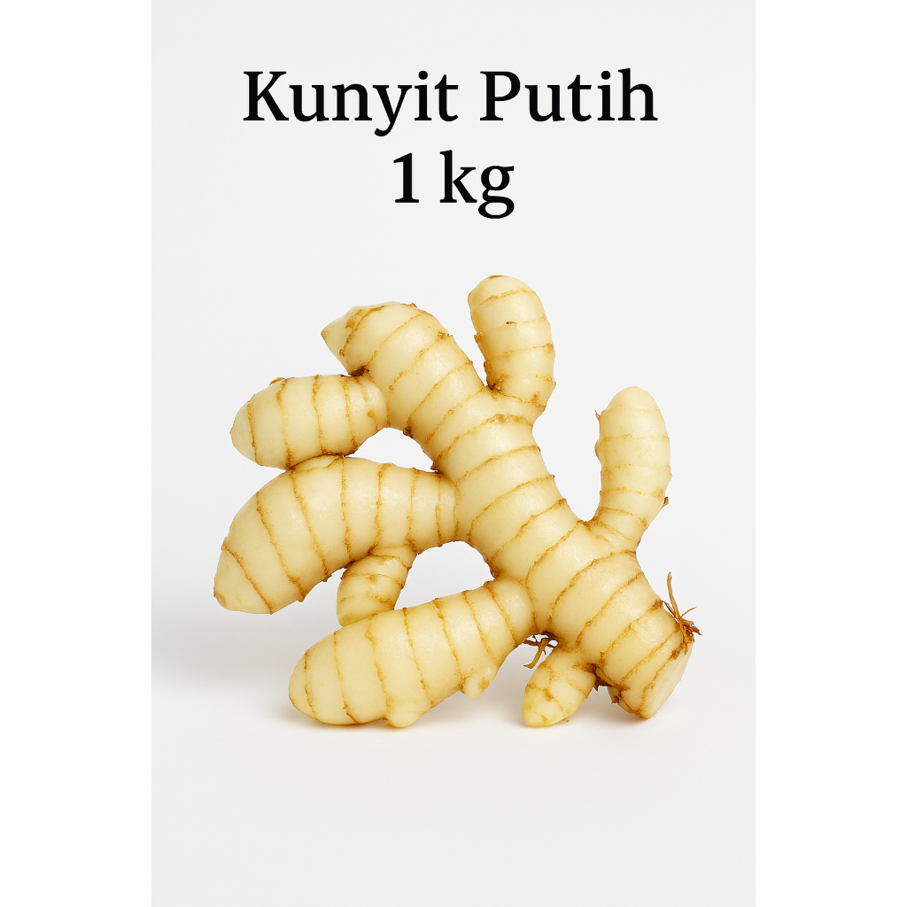 

Promo Temu Putih Segar Kunyit Kunir 1Kg Curcuma Zedoaira - 1/2 kg
