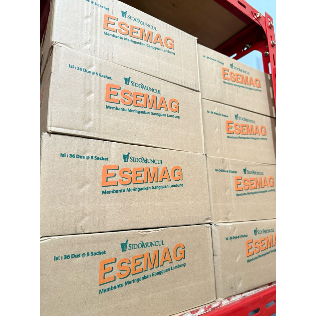 

ESEMAG 1 Karton 36 Box