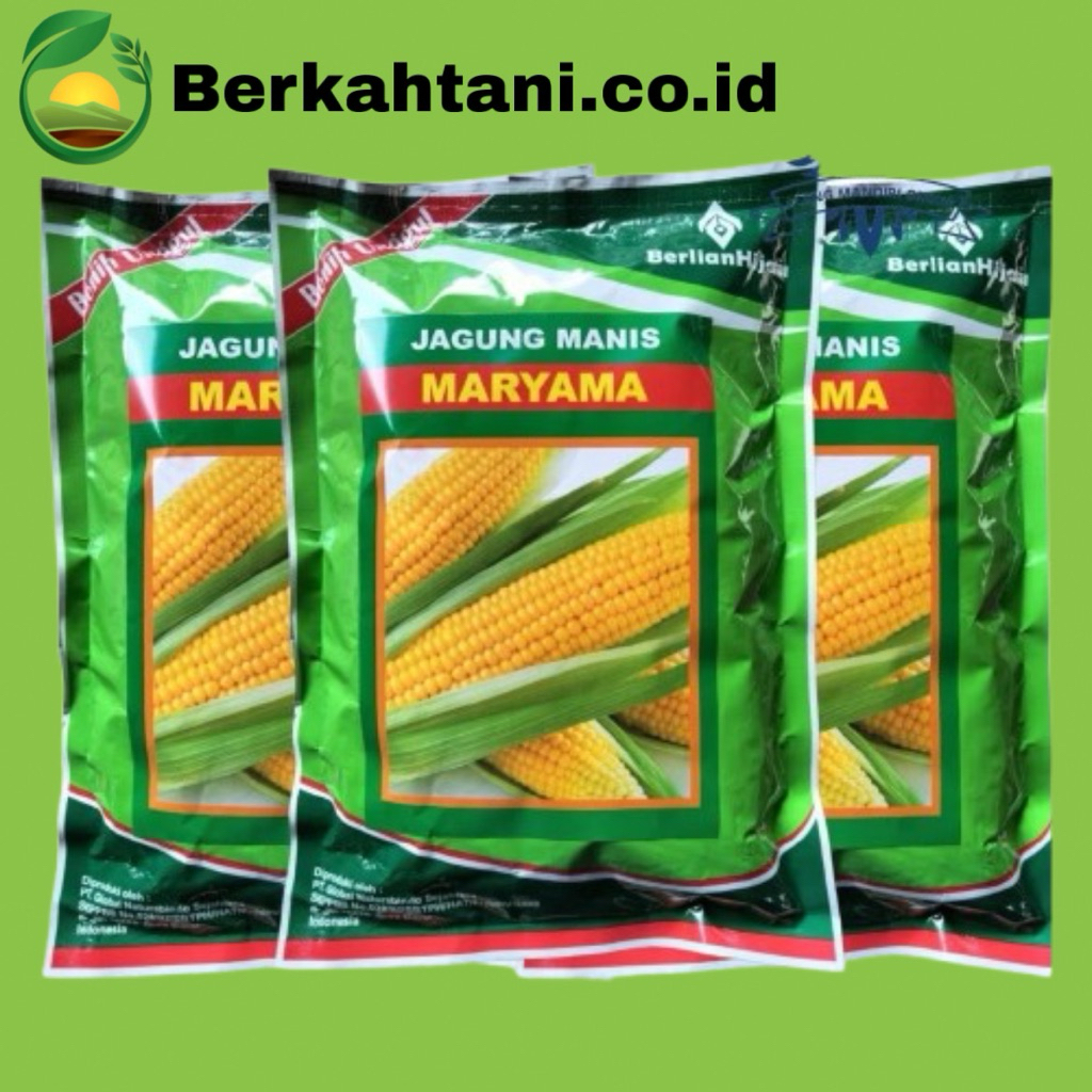 MARYAMA 250gr isi 1.750 btr Benih Jagung Manis Bogor Tani Jaya Exotic Paragon Manise