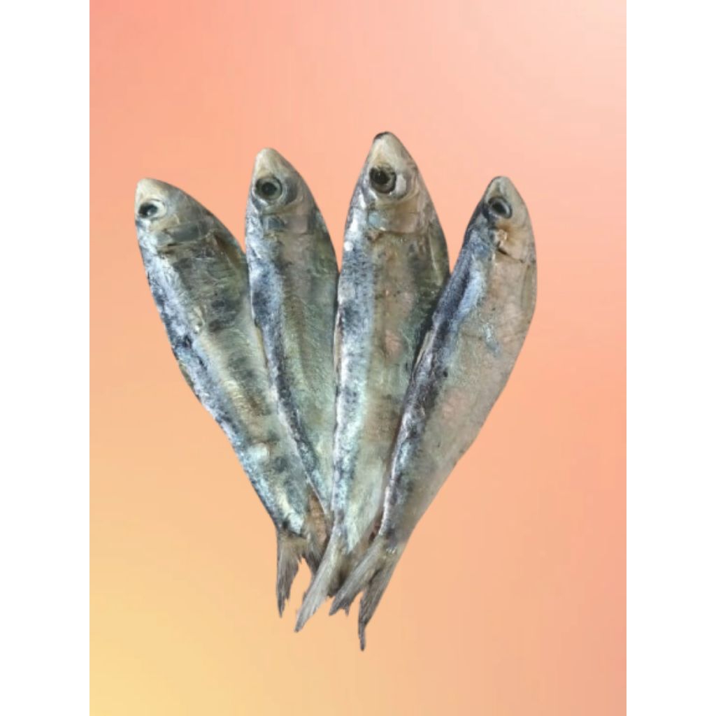 

IKAN TEMBANG SIZE BESAR [ 1 KG ] SUPER QUALITY KERING BERSIH