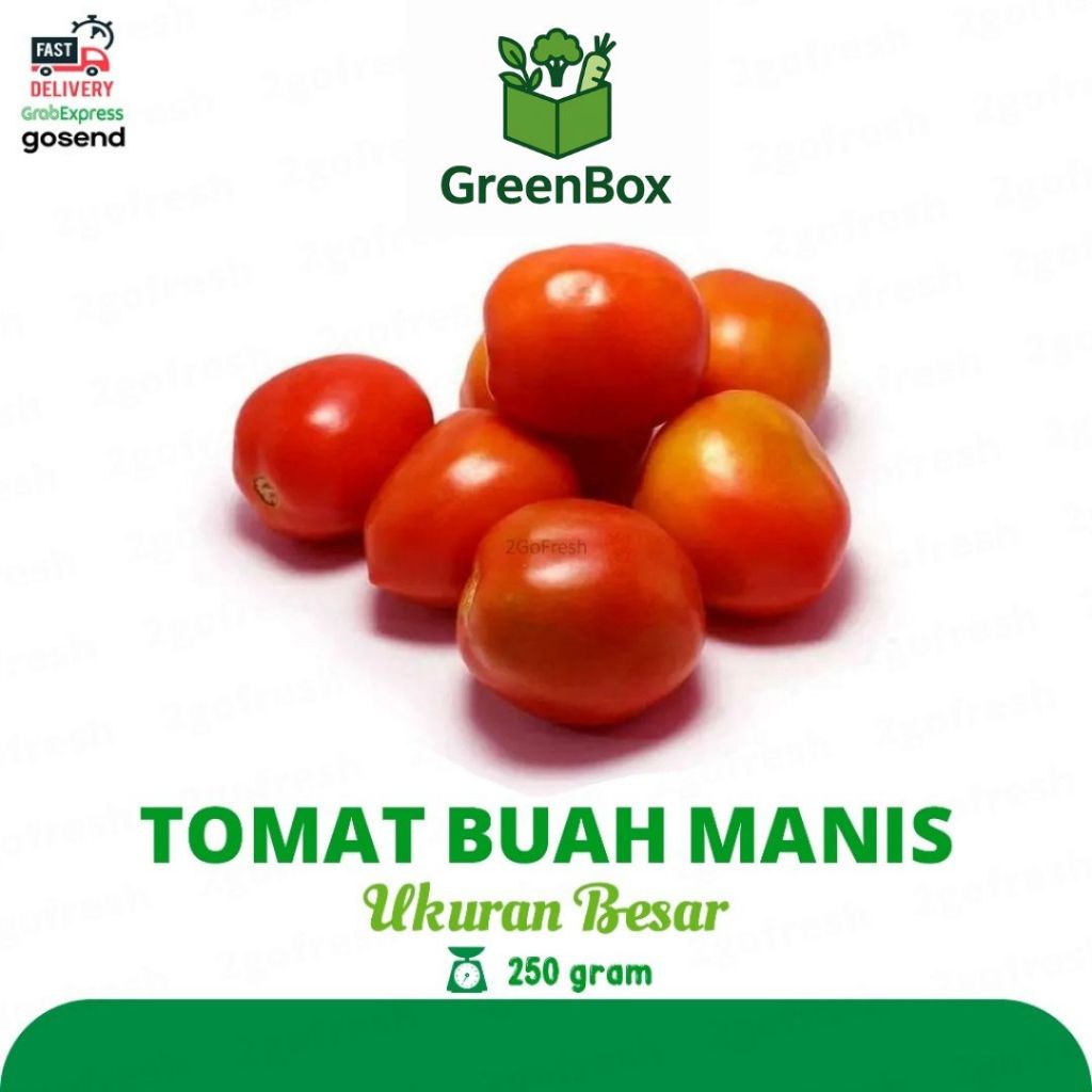 

Tomat Buah Merah/ Tomato Fresh - Sayur Sayuran / Tomat