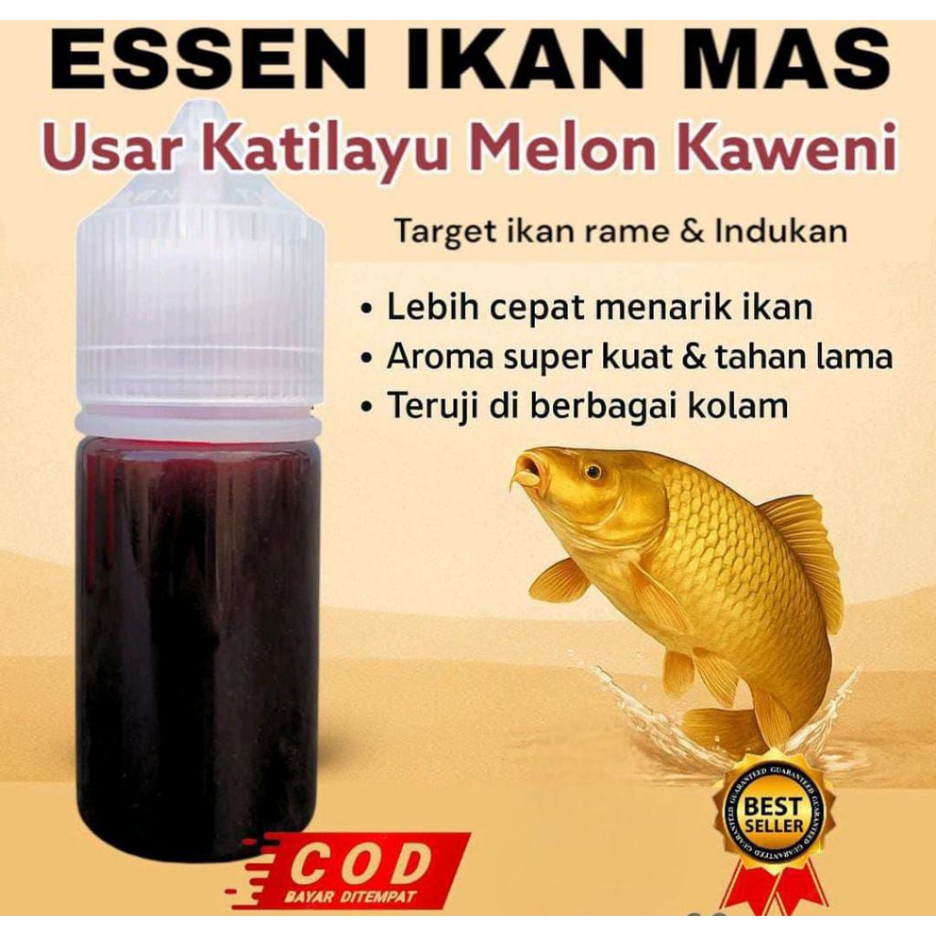 Essen ikan mas paling gacor aroma usar katilayu melon kaweni  Essen ikan mas amis wangi, esen ikan m