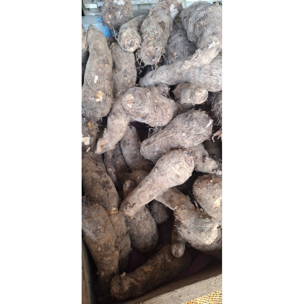 

UBI TALAS / MBOTE / TALAS