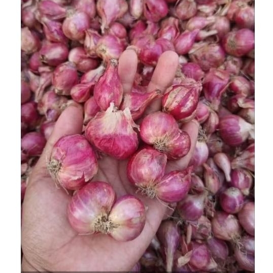 

[GROSIR] BAWANG MERAH LOKAL KUALITAS BAGUS 250 500 750 GRAM 1KG TERMURAH