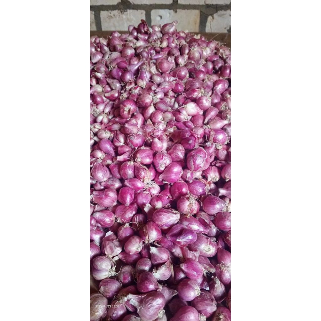 

Bawangmerah super lokal jawa 500 gram