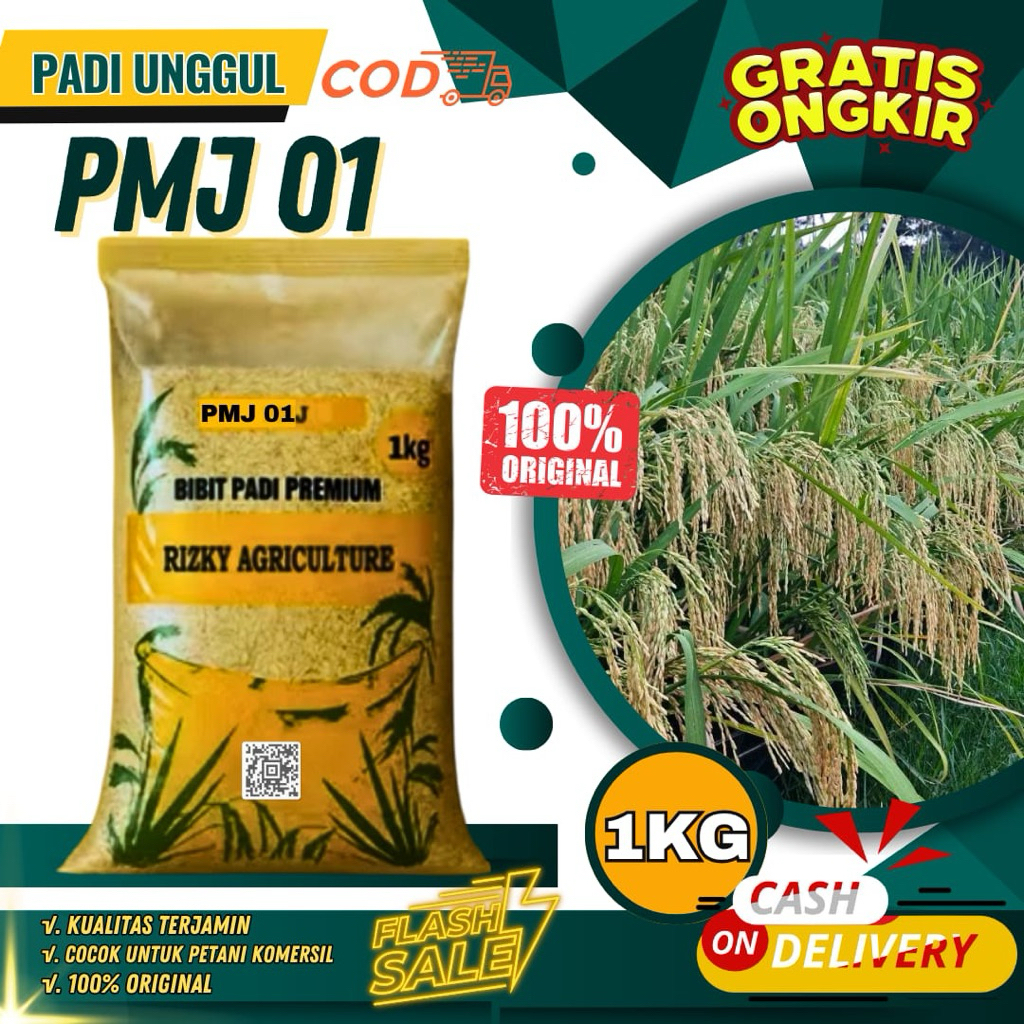 BENIH PADI PREMIUM BIBIT PADI UNGGUL PMJ 01 KEMASAN 1 KG