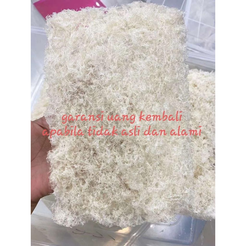 

Sarang Burung Walet Bersih Hancuran Cetak Yenping Natural 100 Gram