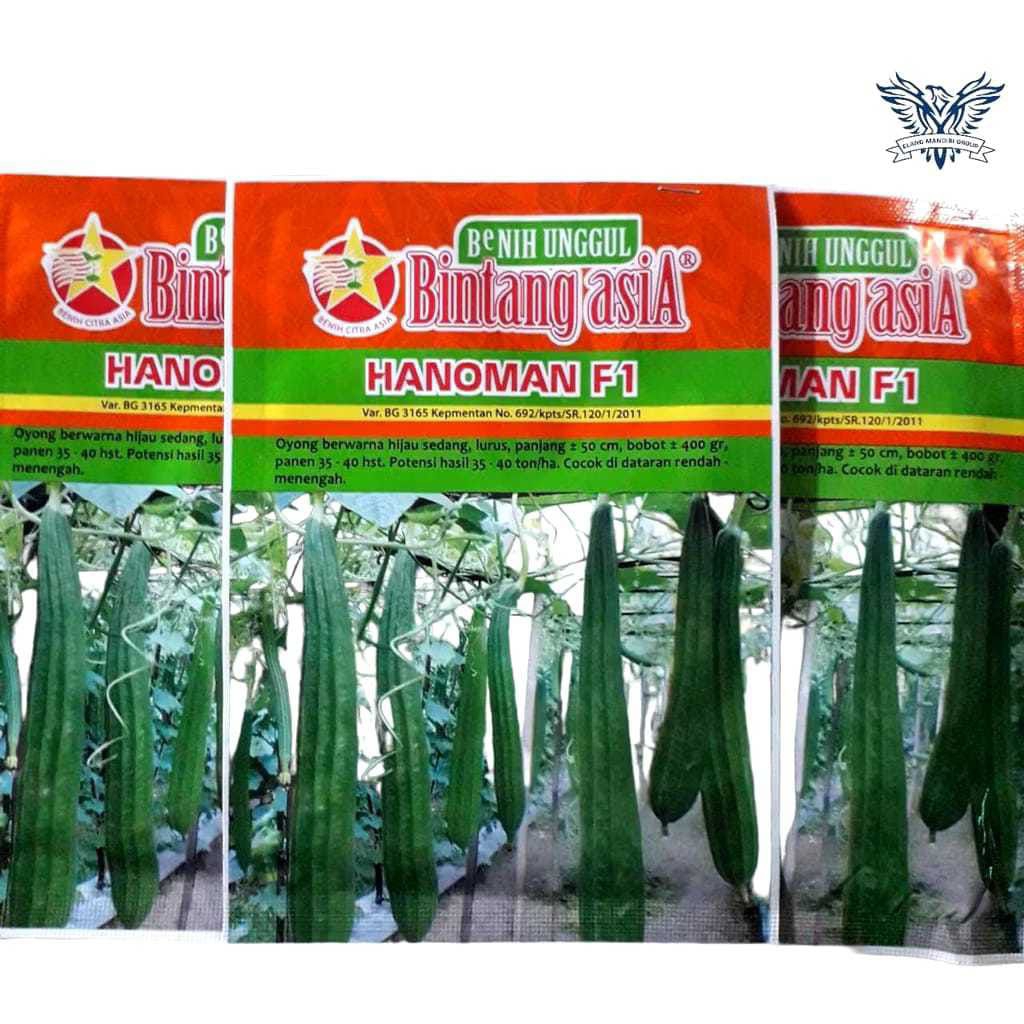 Benih Unggul Oyong Gambas Hanoman F1 10 gram Bintang Asia PT. Benih Citra Asia