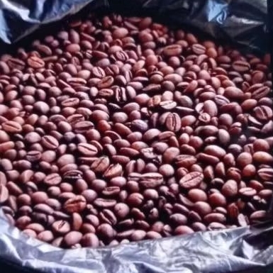 

Biji Kopi Robusta