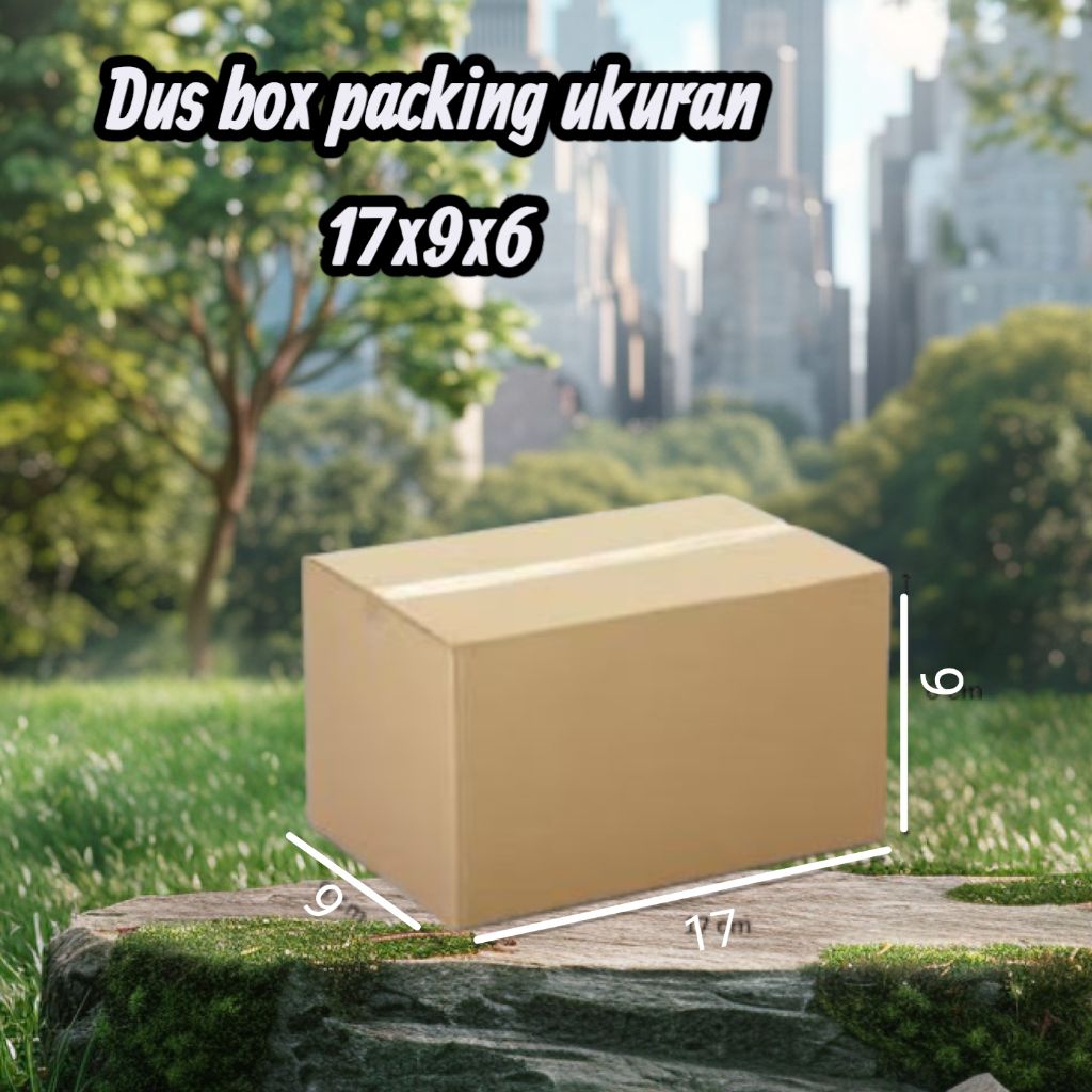 

DUS BOX PACKING UKURAN 17X9X6