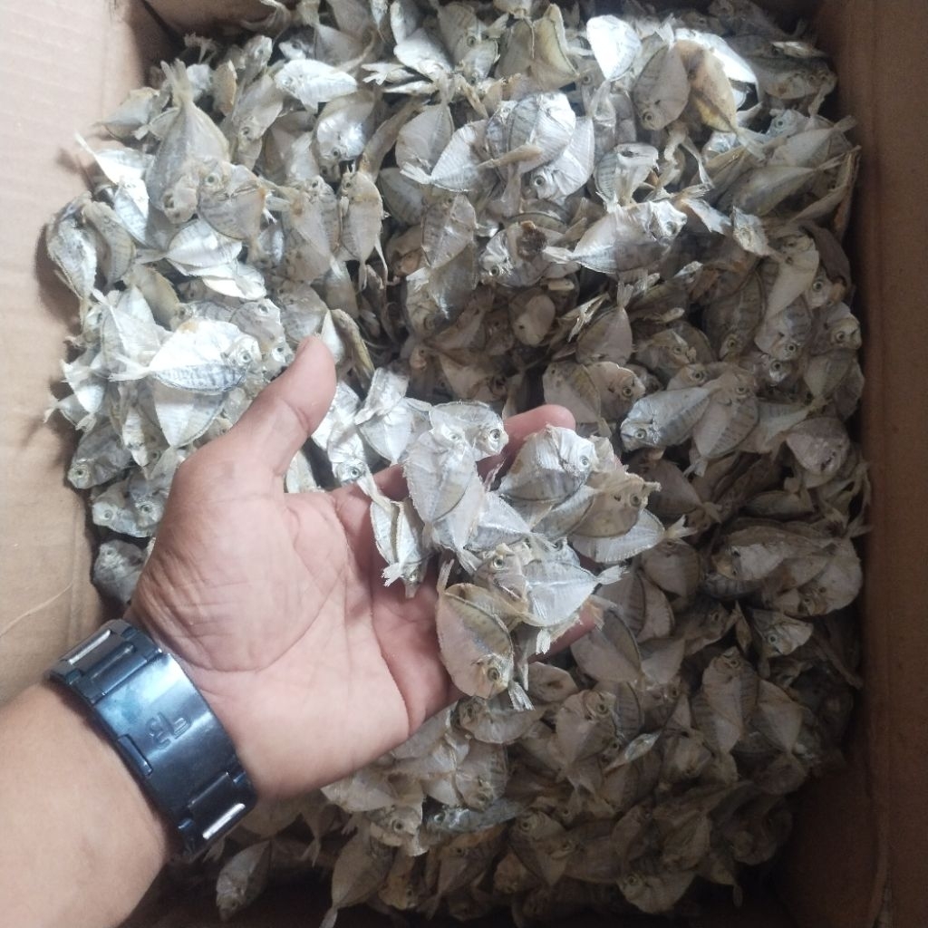 

Ikan Asin Pirik kecil kecil 1 kg Enak dan Gurih