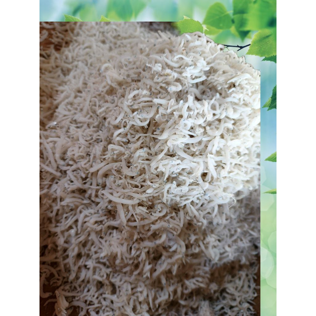 

grosir ikan asin, teri medan, teri nasi berat 1kg