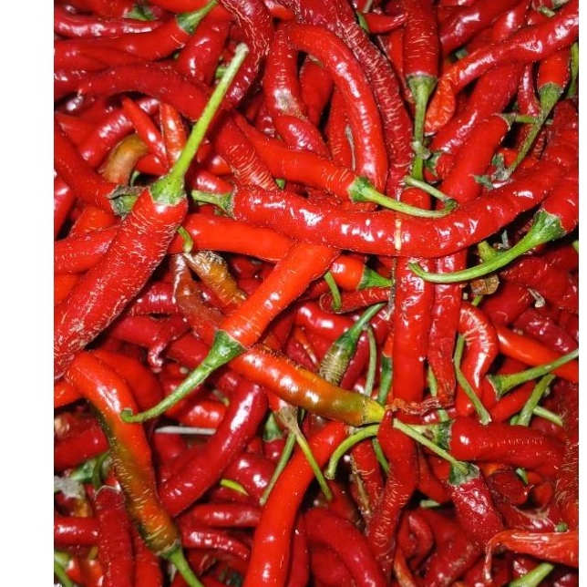 

Cabe Kriting Merah 250gr