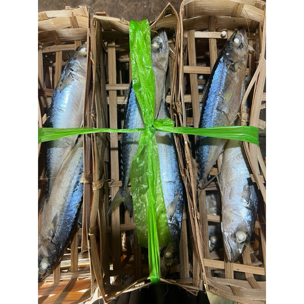 

Pindang Salem isi 2 bj READY STOCK