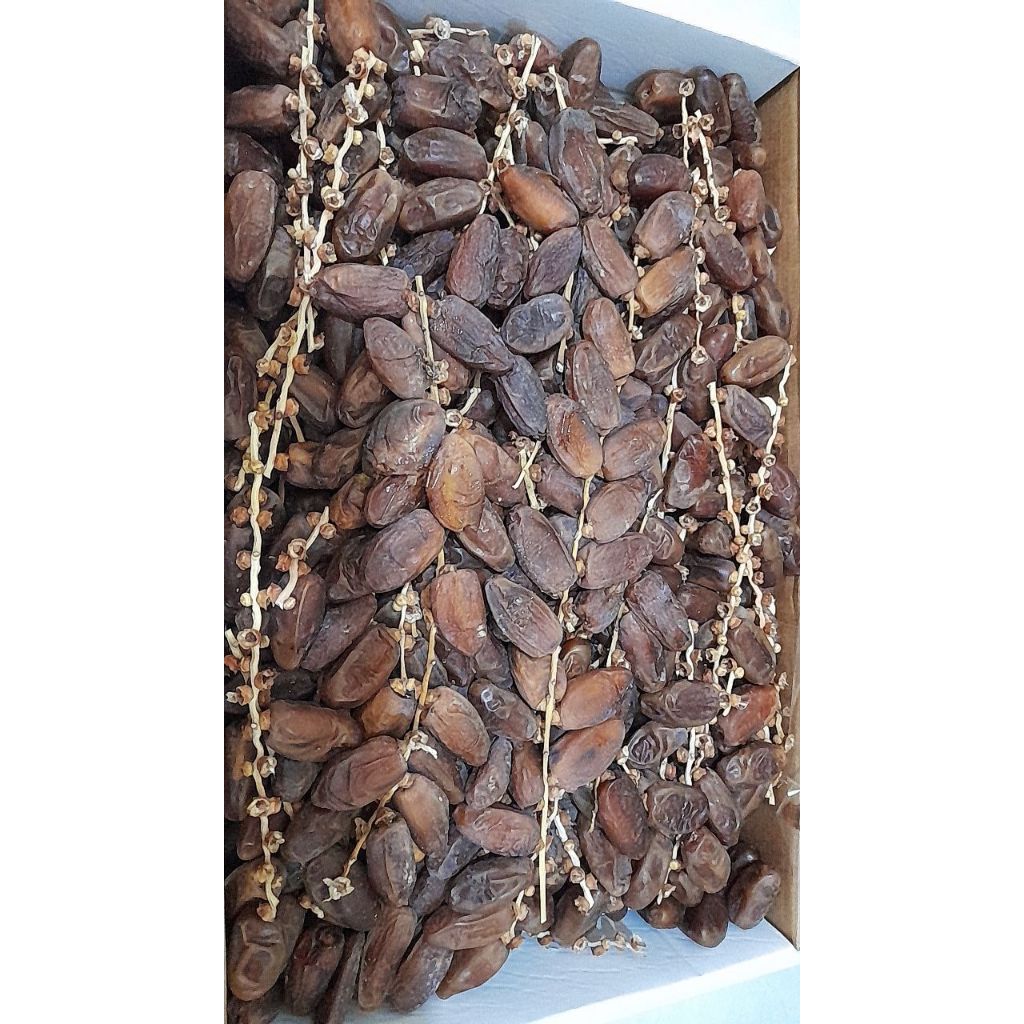 

Kurma Tunisia Tangkai Premium 5 kg / Kurma Tunisia Tangkai 5kg