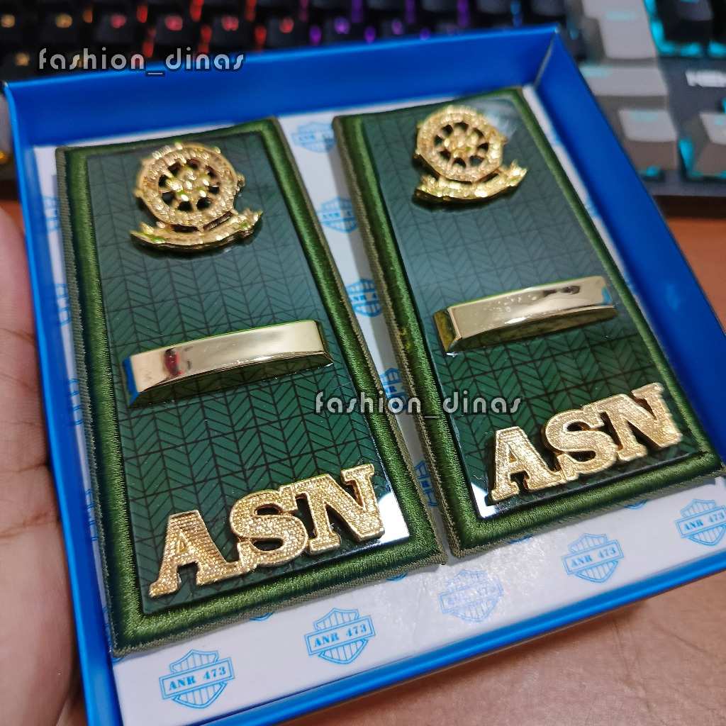 Pangkat PPPK Satpol pp Lampung Pangkat ASN POL PP Lampung golongan IX