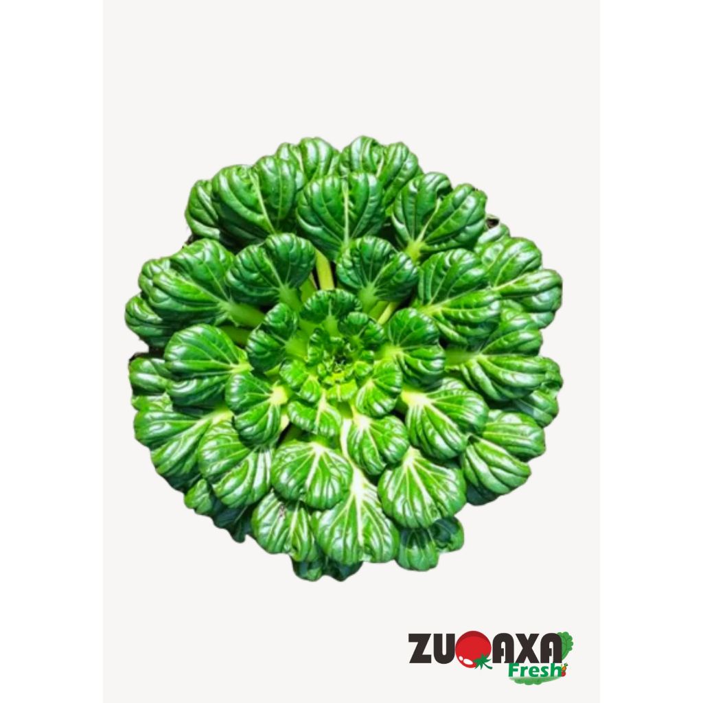 

Sawi Pagoda / Tatsoi / Ta Ke Chai 250gr / 500gr / 1kg