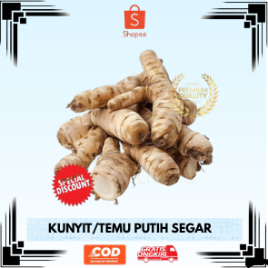 

Kunyit Putih Segar Asli – Herbal Ampuh Anti Radang dan Alergi & Antioksidan & Penawar Racun Herbal