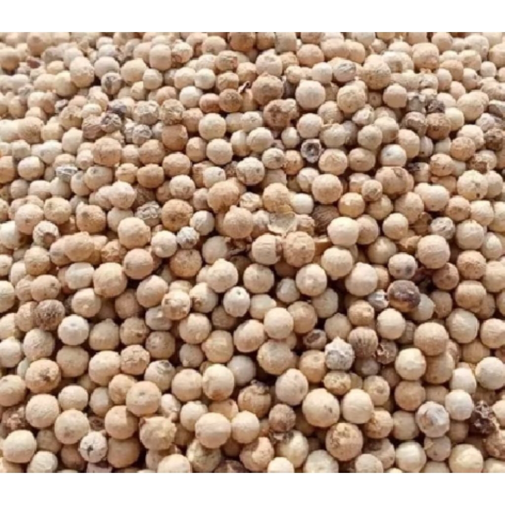 

Lada putih/white pepper/lada jawa ASLI /merica /merica butir100gram,250gram,500gram &1kg