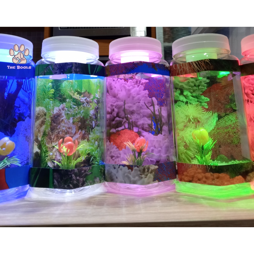 (The Bool's) Aquarium Mini Ikan Cupang Bulat Unik Murah Hiasan Dekorasi Kamar Rumah Lampu Led Tidur 