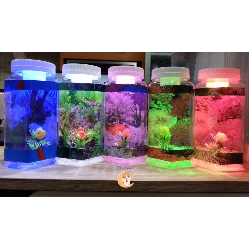 (The Ham's) Aquarium Mini Ikan Cupang Bulat Unik Murah Hiasan Dekorasi Kamar Rumah Lampu Led Tidur K