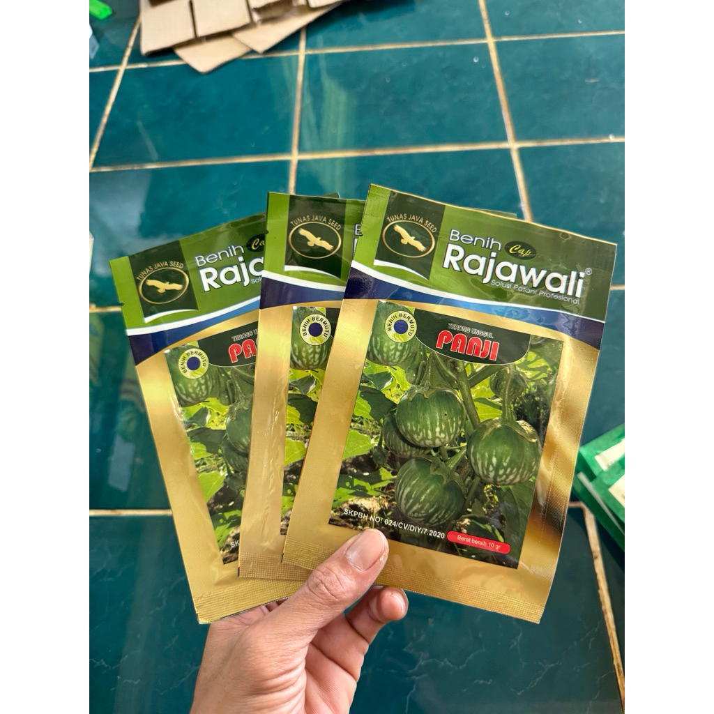 Benih Terong Lalap Panji Provita Cap Rajawali 10gram