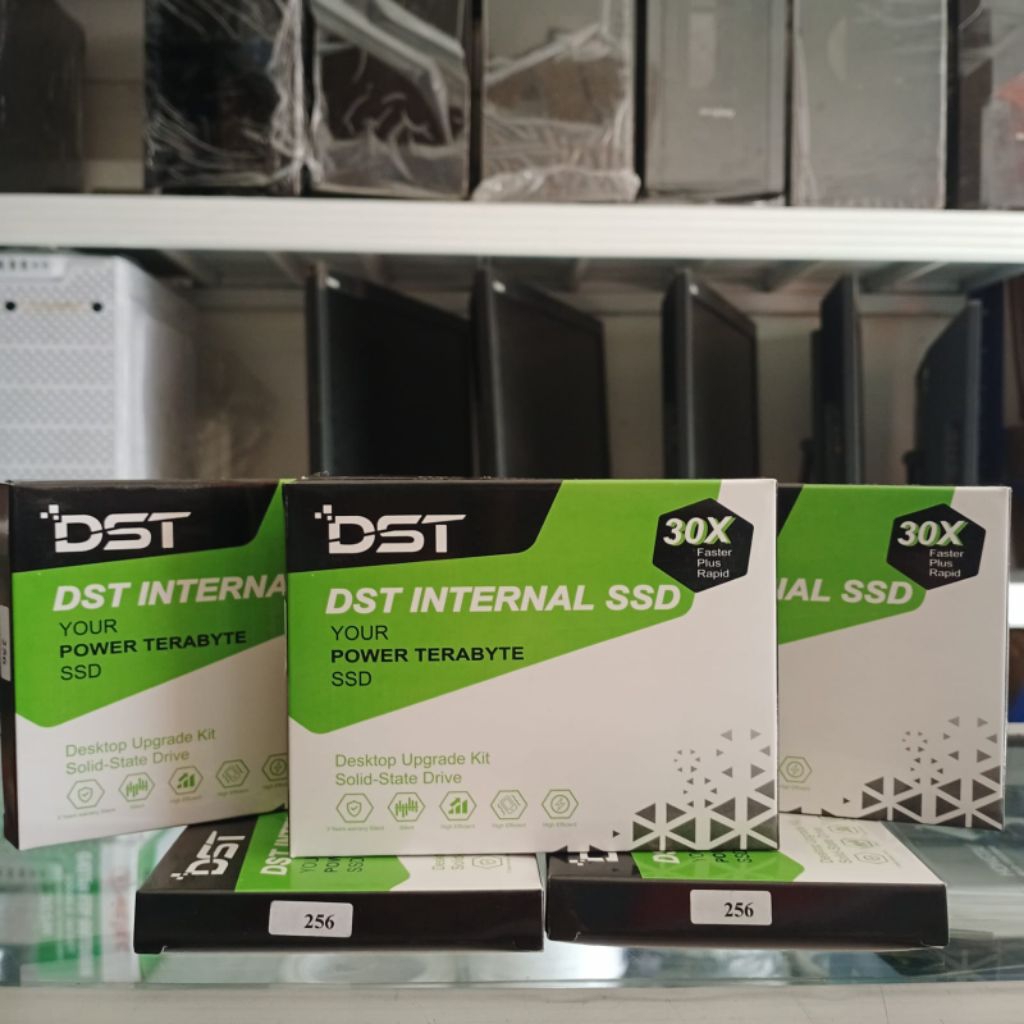 SSD DST 128GB/ 256GB Internal SATA lll Bergaransi