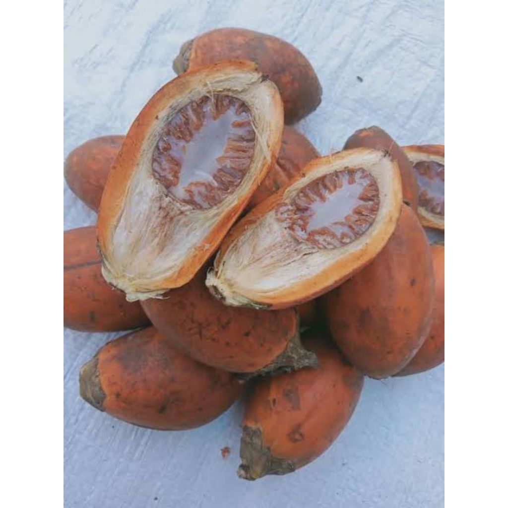 

BUAH JAMBE/PINANG ALAMI 1KG