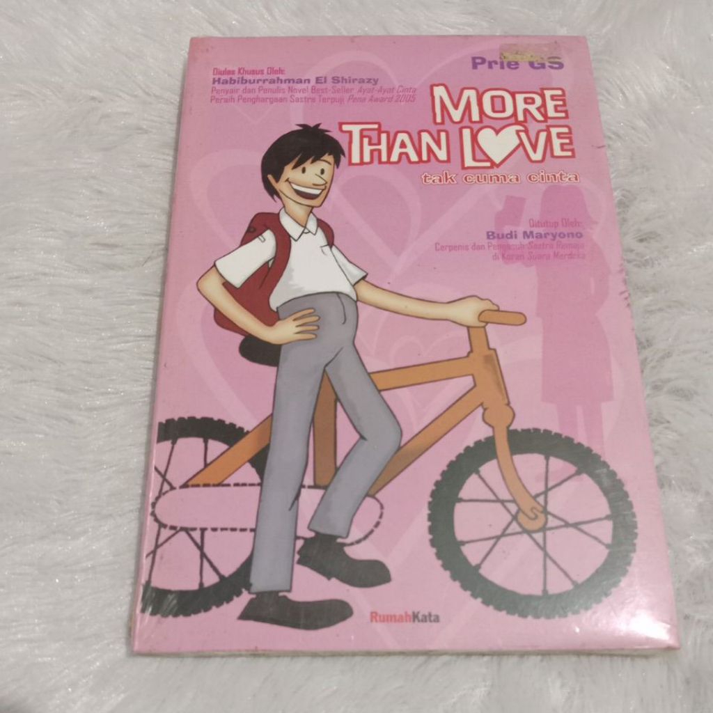 Novel more than love - Prie gs