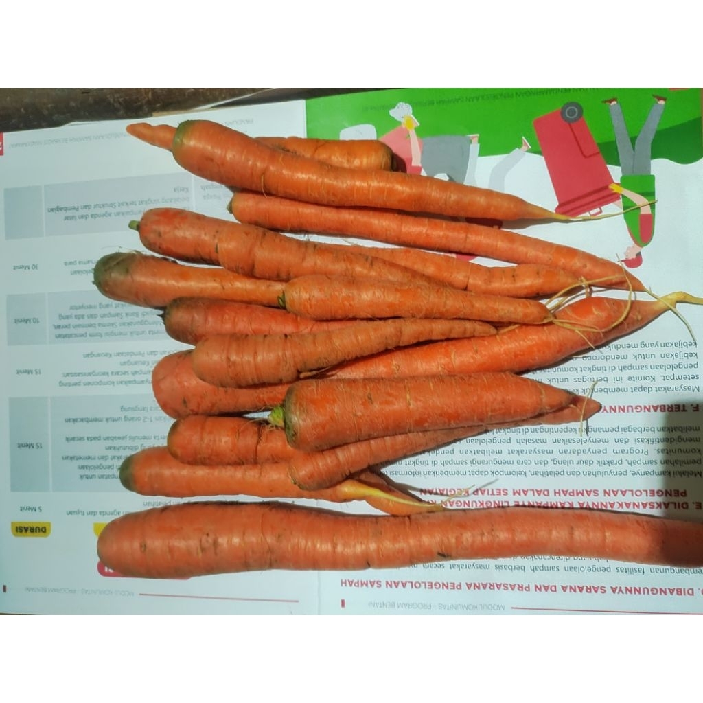 

Wortel 1 Kg – Pilihan Terbaik untuk Sayur Sehat