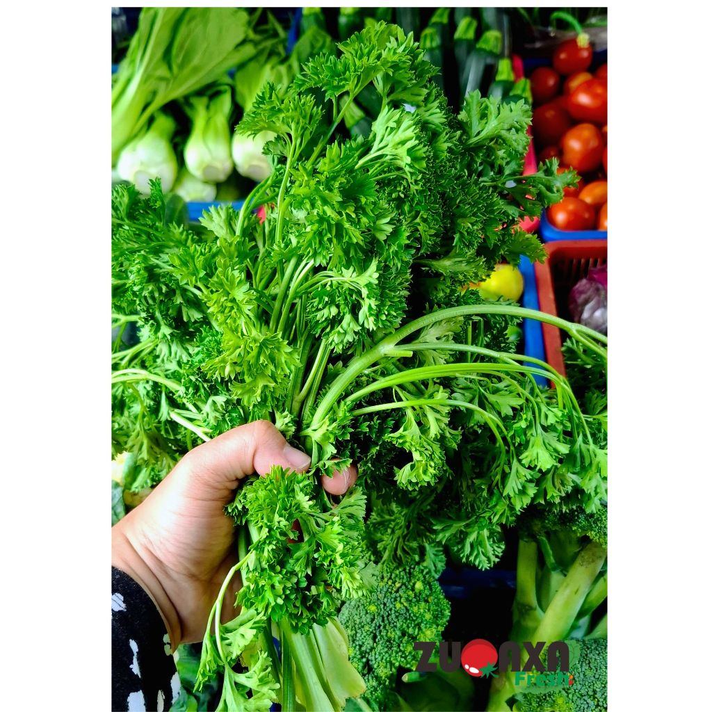 

Parsley / Peterseli 100gr