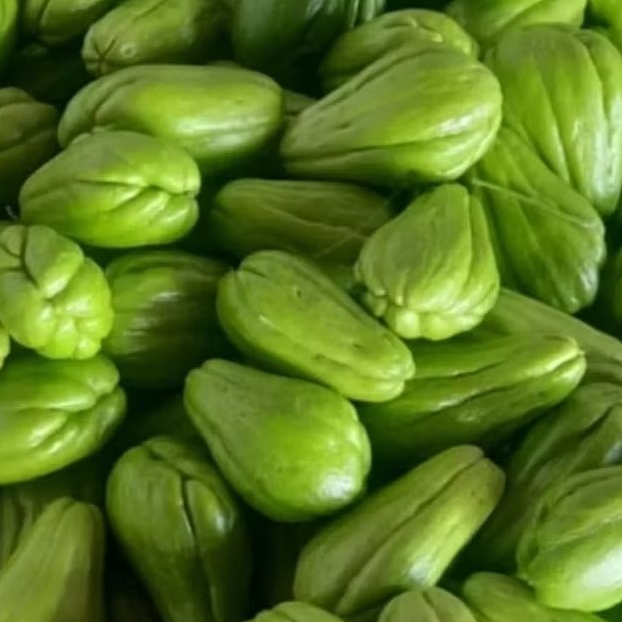 

Labu Siam Jumbo Fresh 1 kg