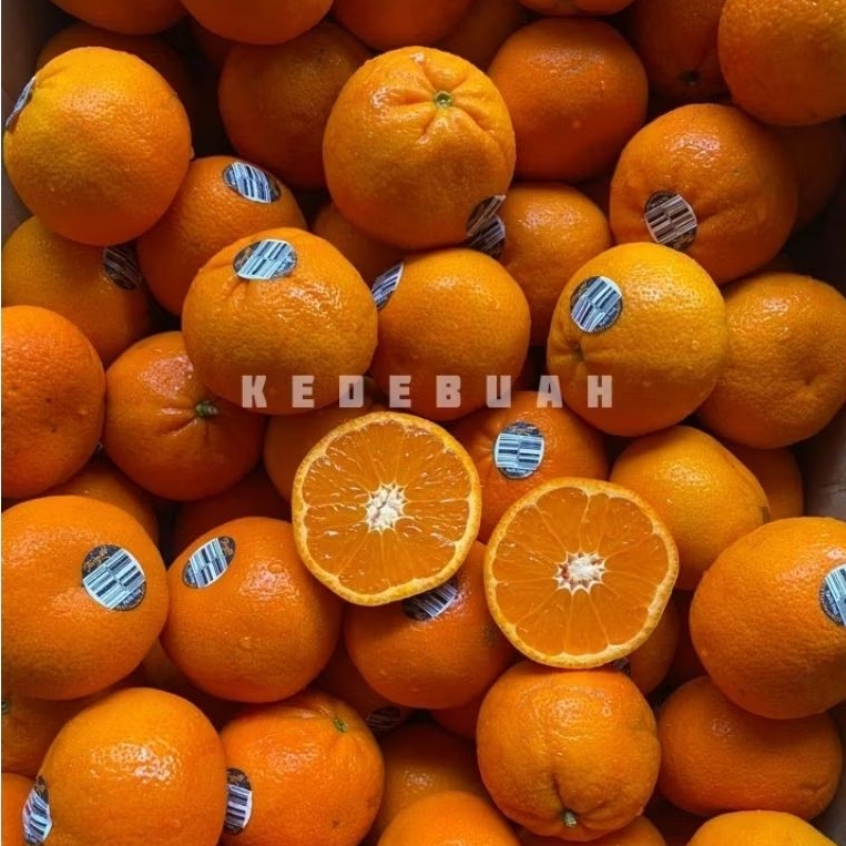 

Jeruk Tangold Australia Seedless