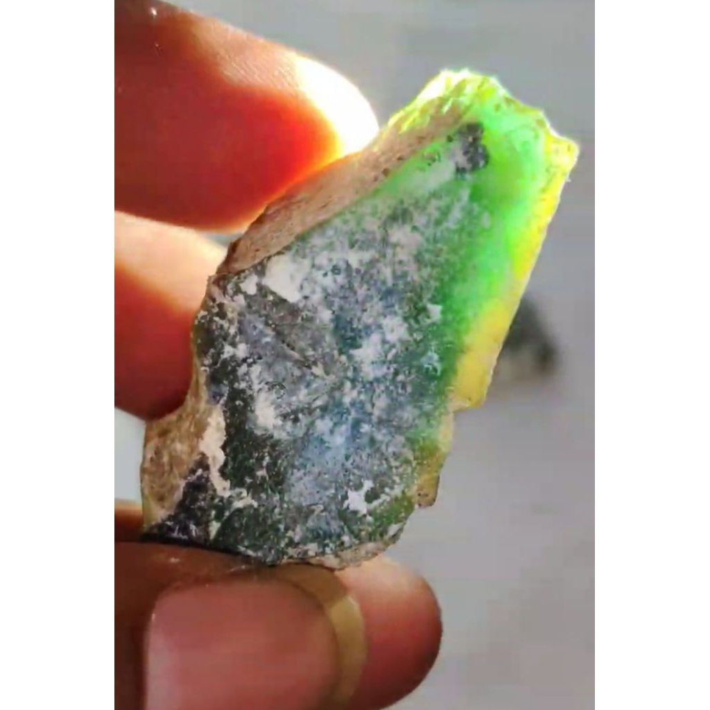 POTEKAN BAHAN BACAN