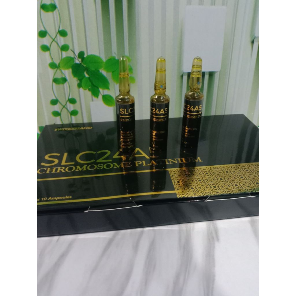 SLC chromosome platinum ECER sekal infus