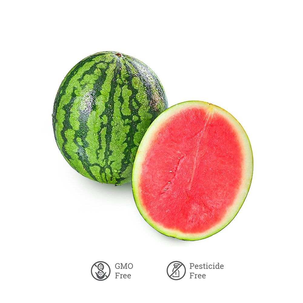 

Semangka Merah Non Biji TBSM