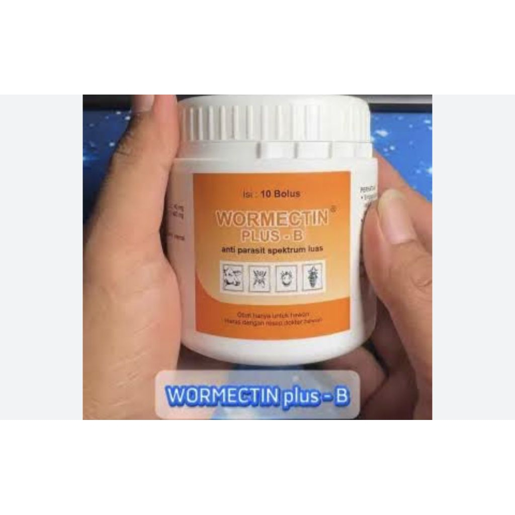 Wormectin bolus b plus obat hewan atasi parasit luar dan dalam