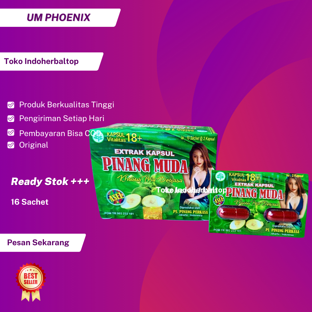 

Pinangmuda Kapsul Original // Stamina Pria Dewasa
