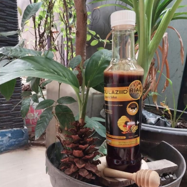 

400gr Madu Hutan Akasia crasicarpa multiflora Riau, murni 100% tanpa proses dan campuran apapun (Raw honey) 400gr