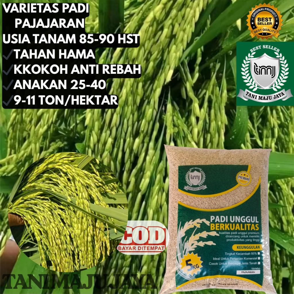BIBIT PADI BENIH PADI UNGGUL VARIETAS PAJAJARAN KEMASAN 5 KG