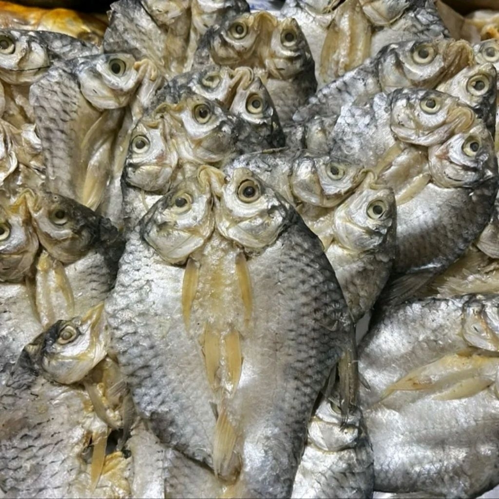 

ikan asin tawes belah kering/tawes belah sedang best seller