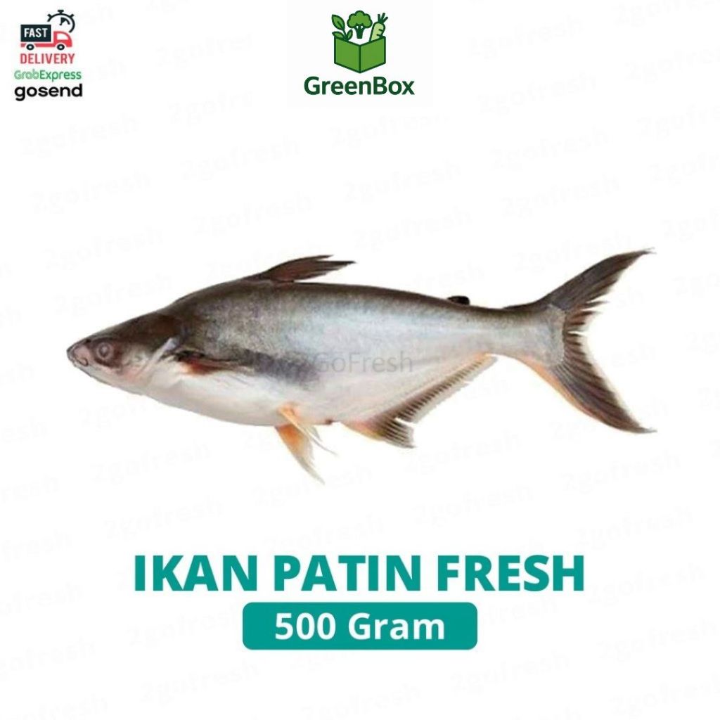 

Ikan Patin Fresh - Sayur Sayuran