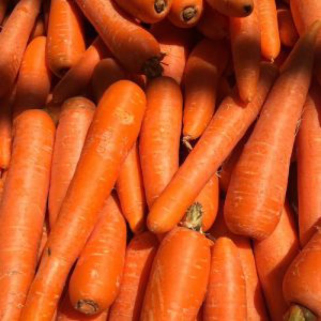 

WORTEL LOKAL FRESH 500GR/1KG