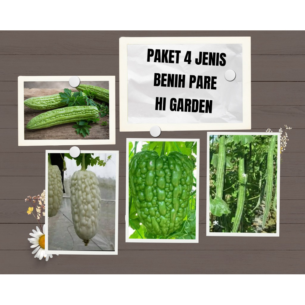Paket 4 Jenis Benih Pare Unggul – Pare Hijau, Putih, Pare Apel, & Pare belut