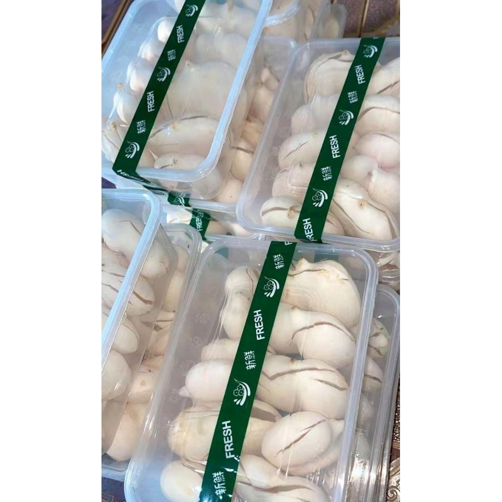 

Buah lontar box isi 10 besar