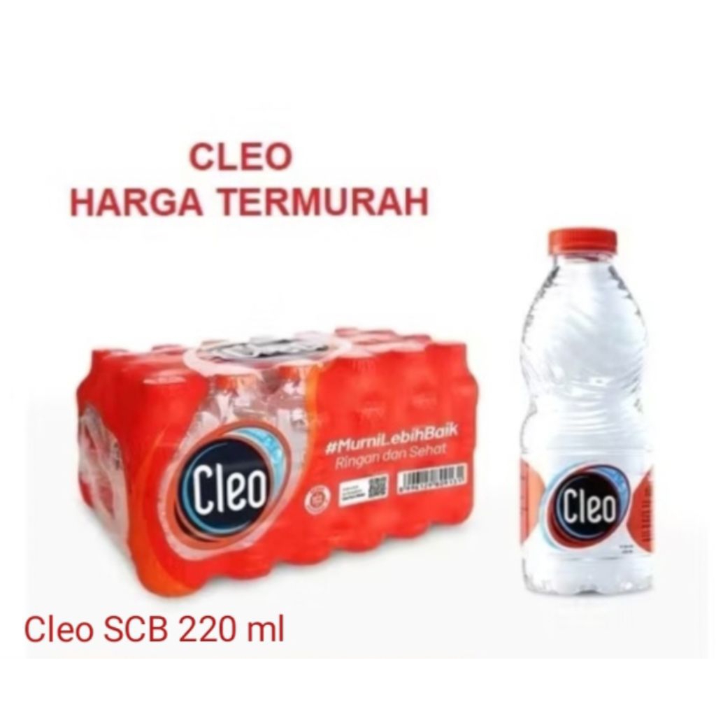 

Cleo Smart Air Mineral 220 ml