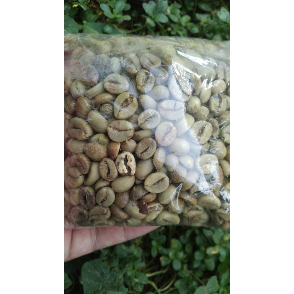 biji kopi robusta jawa timur