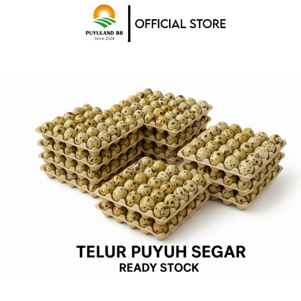 

Telur Puyuh Fresh || 45 Butir Telur Puyuh Fresh