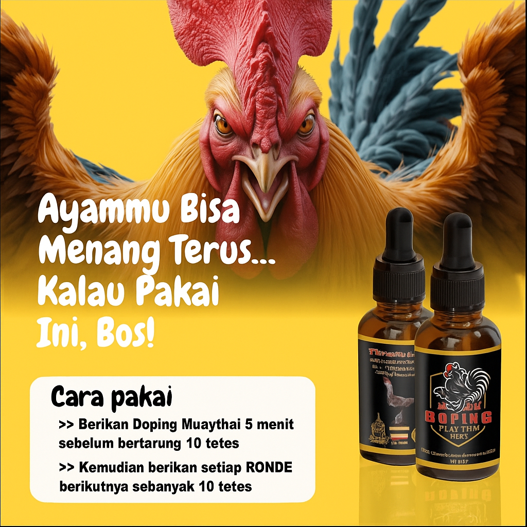MUAY THAI Thailand Asli – Doping Ayam Bangkok, Vitamin Stamina Tinggi, Nafas Lanjut & Obat Kuat Adua