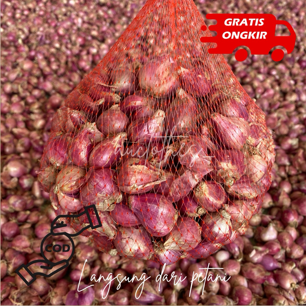 

Bawang Merah Tanggung Langsung dari Petani